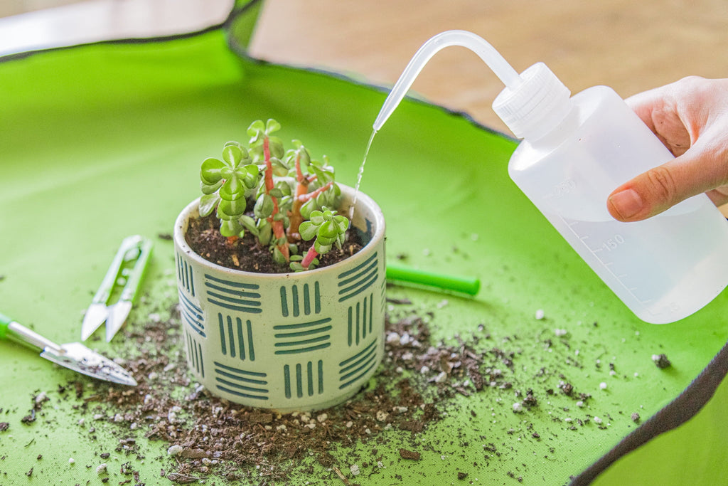 Ensemble d'outils en acier inoxydable pour jardinage d'intérieur, 14 pièces, vert