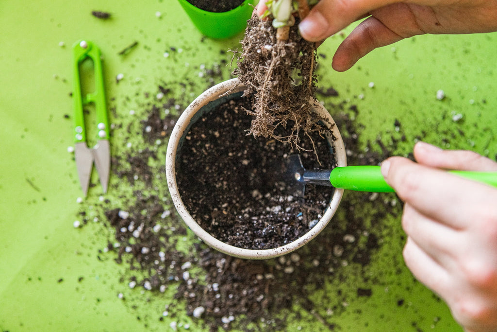 Ensemble d'outils en acier inoxydable pour jardinage d'intérieur, 14 pièces, vert