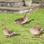 1Pcs Acrylic Duck Garden Stake Garden Decoration Chicken Garden Figures Yard Garden Statue Decor Outdoor Lawn Decor Decoration