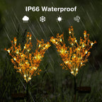 Solar Garden Lights Outdoor Decorative, 2 Pack Solar Canola Flower Lights, LED Solar Stake Lights Waterproof Lights for Patio, Garden, Yard, Lawn, Pathway