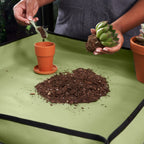 Ensemble d'outils en acier inoxydable pour jardinage d'intérieur, 14 pièces, vert