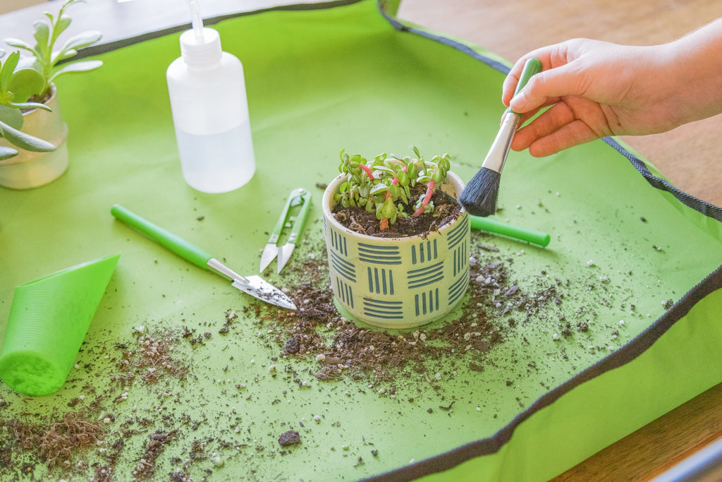 Ensemble d'outils en acier inoxydable pour jardinage d'intérieur, 14 pièces, vert